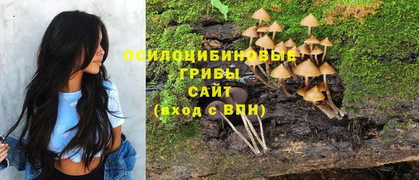 а пвп мука Баксан