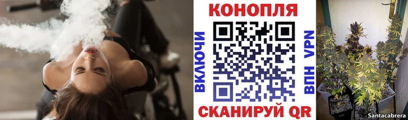 купить наркотик  Оленегорск  МАРИХУАНА THC 21% 